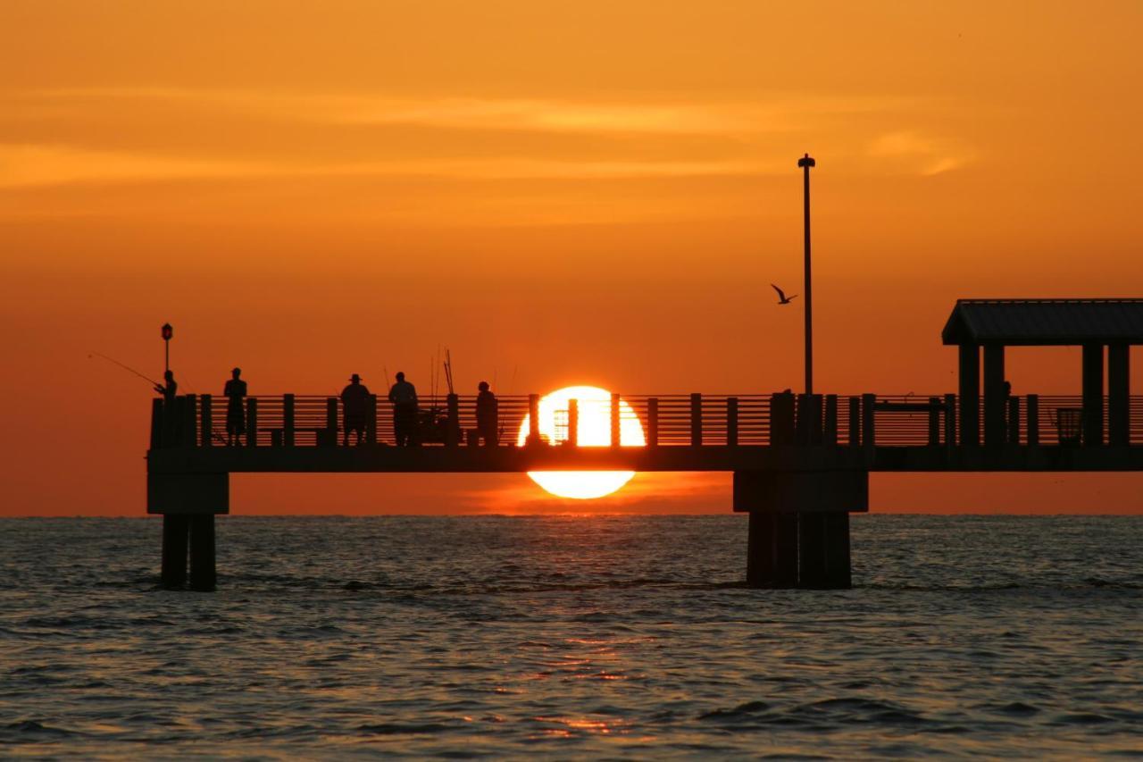 The Palm Condos St. Pete Beach Buitenkant foto