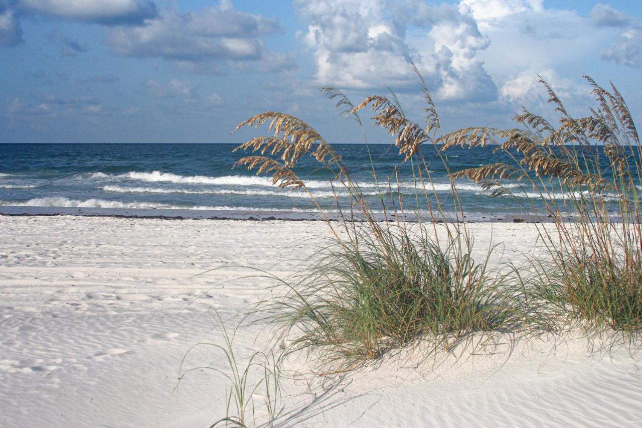 The Palm Condos St. Pete Beach Buitenkant foto